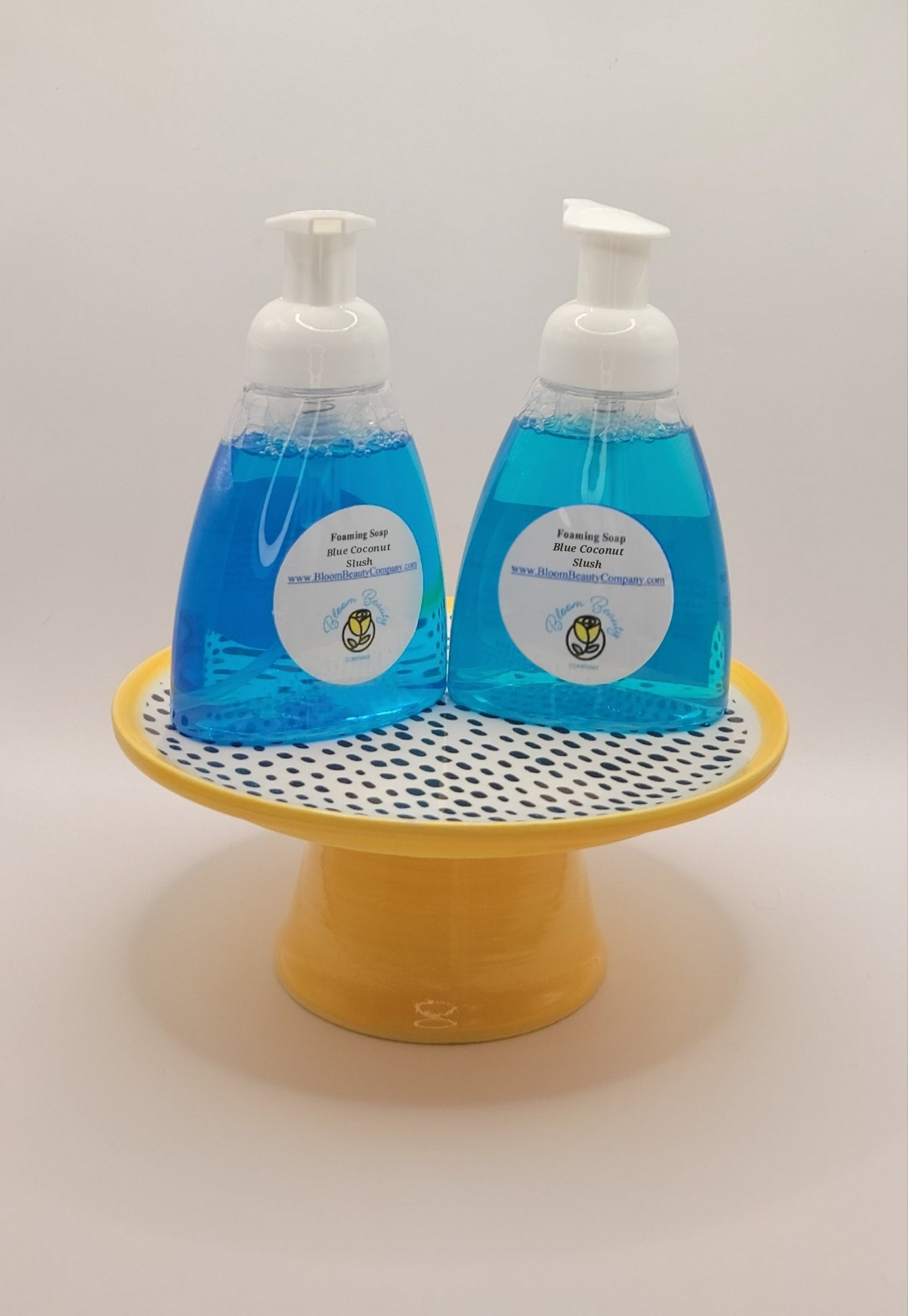 Organic Hand Soap Vegan All Natural Blue Coconut